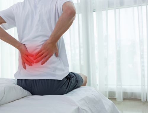 FISIOTERAPIA PARA EL LUMBAGO: ALIVIO DEL DOLOR LUMBAR Y MEJORA DE LA CALIDAD DE VIDA