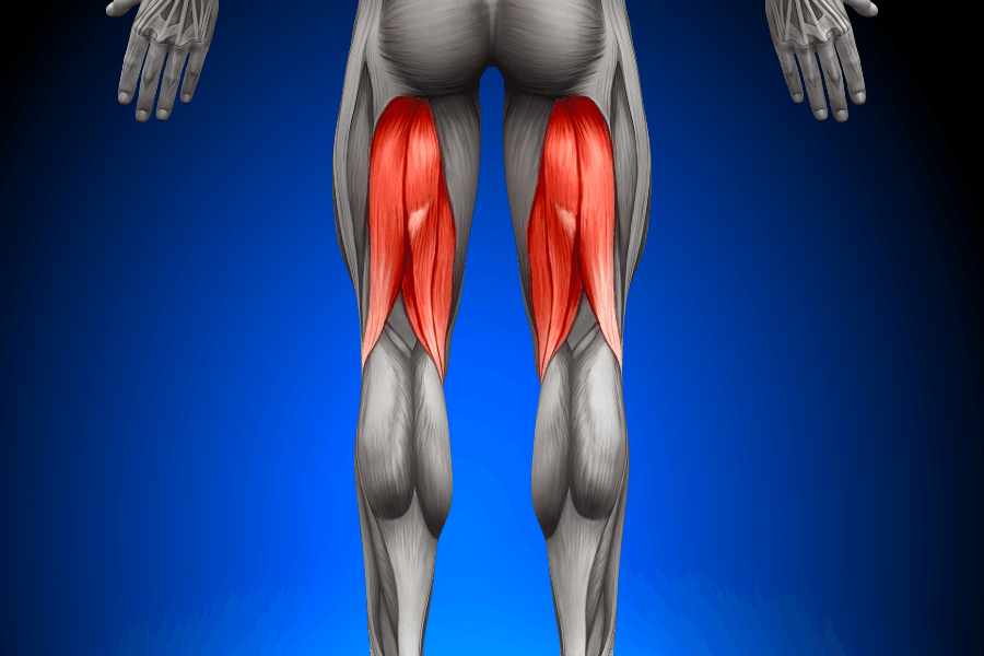 Sobrecàrrega isquiotibials Musculs